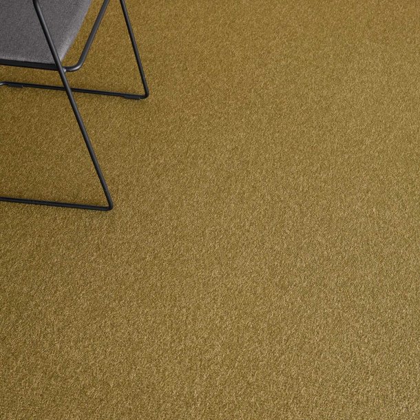 Tppeflise Ege Contra Ecotrust