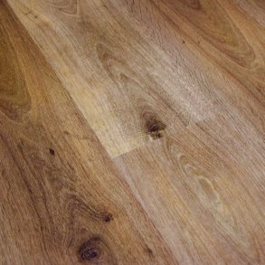 Ege Planum Forte Royal Oak