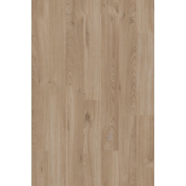 Woodstock SoundLogic Brume Oak BEIGE