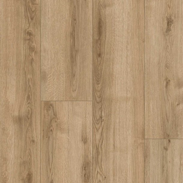 Woodstock SoundLogic Jura Oak GOLD