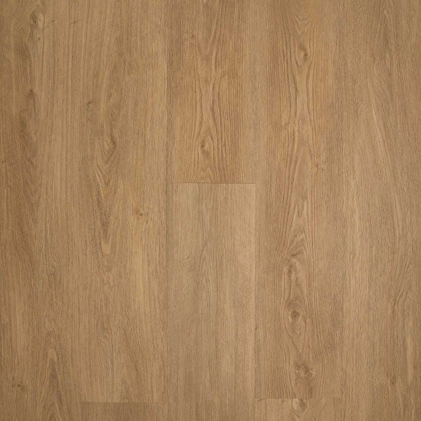 Timberman Novego Plus Birmingham