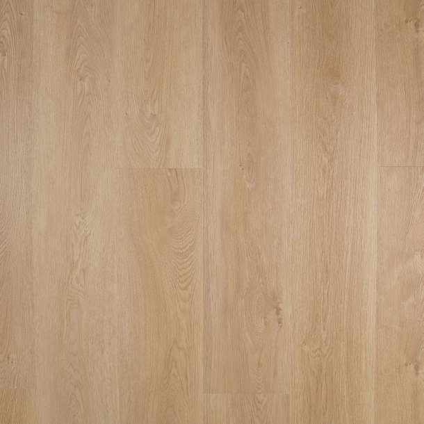 Timberman Novego Plus Brighton