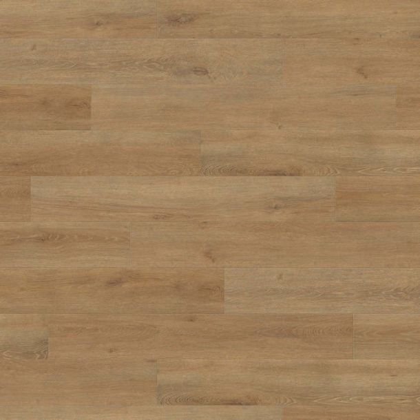 Laminatgulv HARO Veneto Natur Eg T100 PL