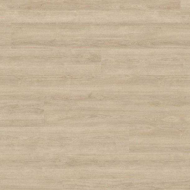 Laminatgulv HARO Eleganza Cremehvid Eg T200 PL