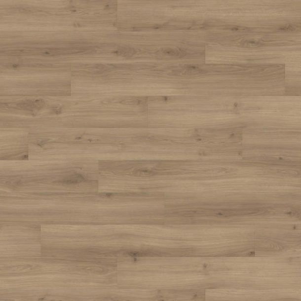 Laminatgulv HARO Emilia Puro Eg T200 PL