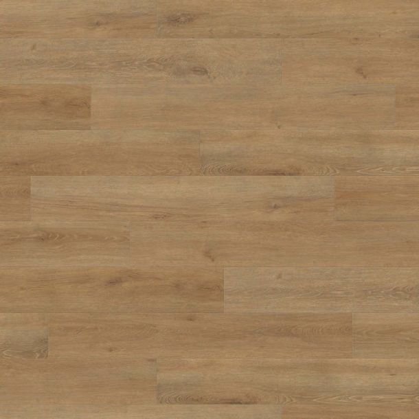 Laminatgulv HARO Veneto Natur Eg T200 PL