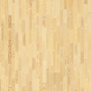 Professional Ash Nature TreS